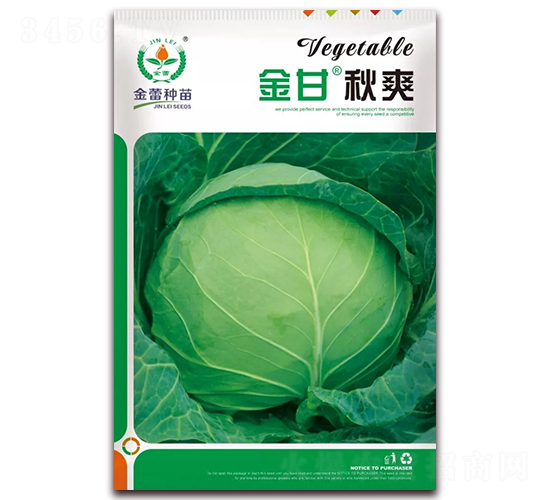 金甘秋爽-甘藍種子-金蕾種苗