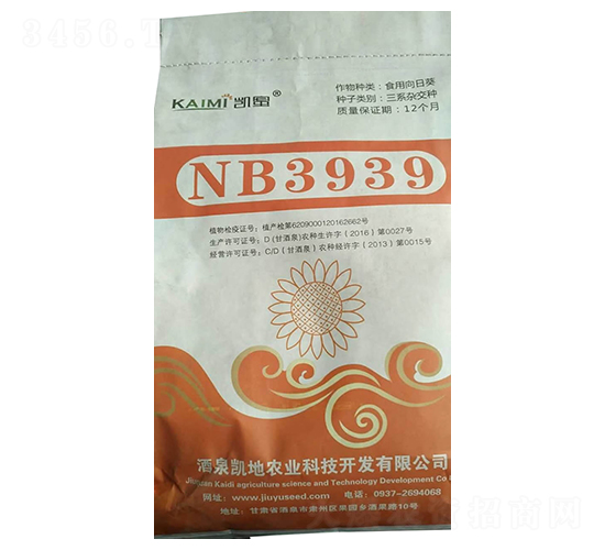 NB3939տN-NI