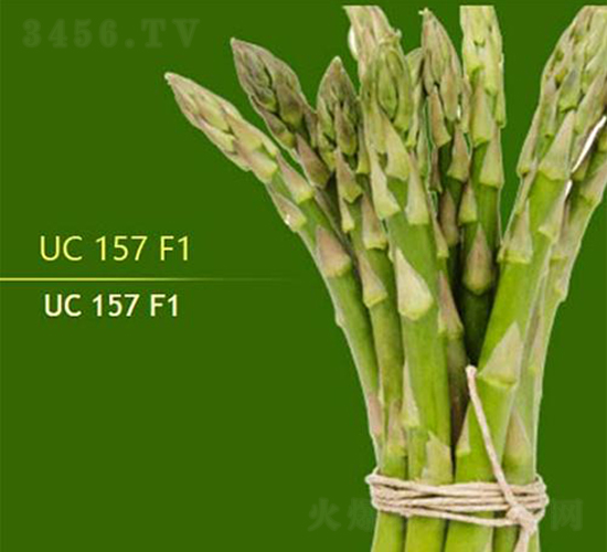 UC157F1-JSN-TSrI