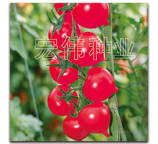 һ̖-tN-ꂥNI