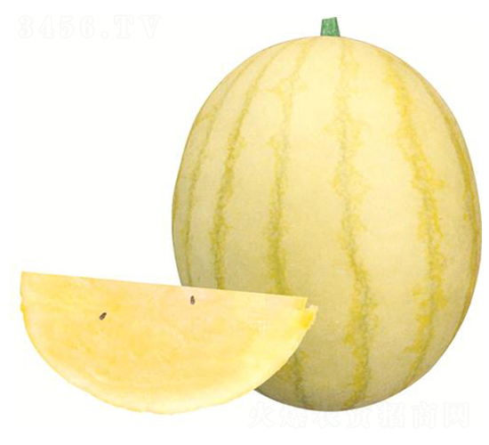 S-ϷN-rI