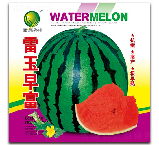 縻-ϷN-NI