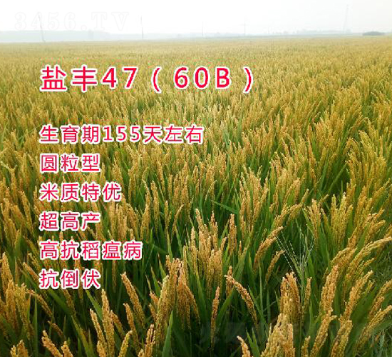 }S4760B-ˮN-ƷNI