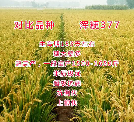 377-ˮN-ƷNI