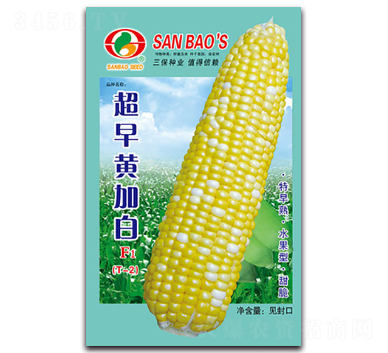 SӰF1-׷N-NI