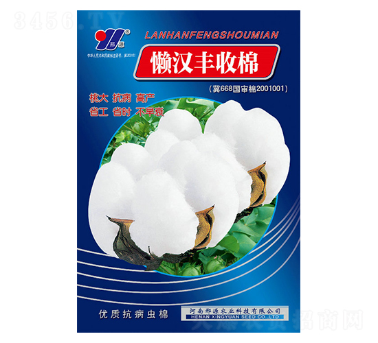 懶漢豐收棉-棉花種子-邢源農業