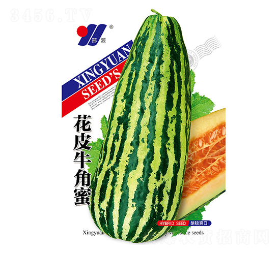 Ƥţ-ϷN-ԴrI