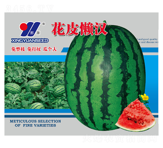 ƤНh-ϷN-ԴrI