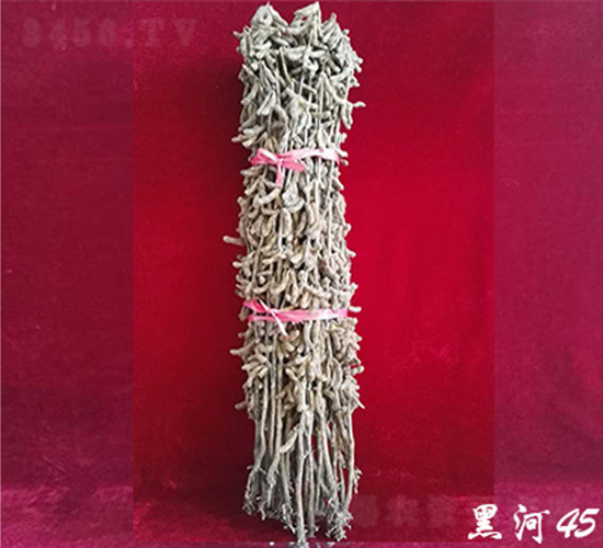 ں45-󶹷N-DNI