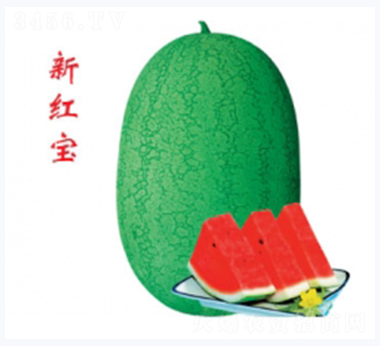 ¼t-ϷN-ؼtNI