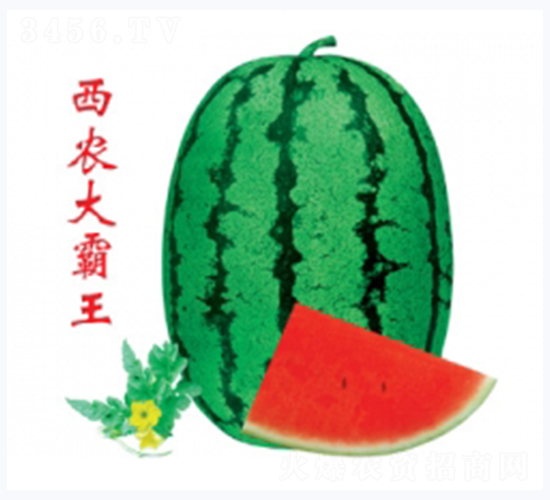 r-ϷN-ؼtNI