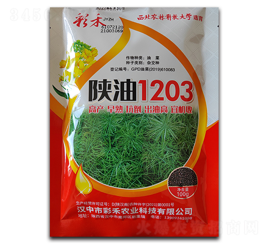 1203-ʺ-βrI(y)