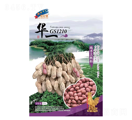 GS1210-N-AһNI