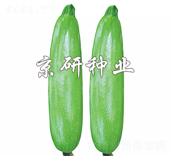 8̖-JN-зNI