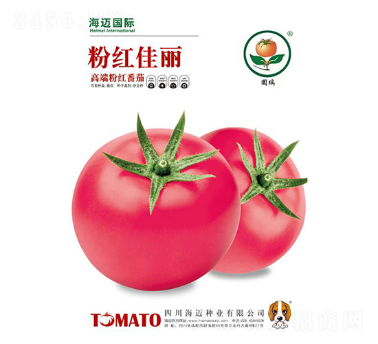 粉紅佳麗-番茄種子-海邁國際
