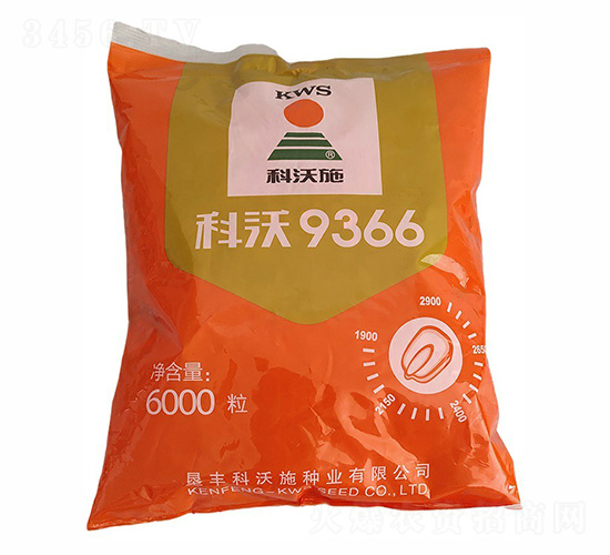 9366׷N-ʩ-rI