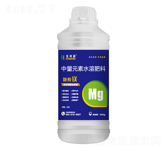 1000gǴV-Z