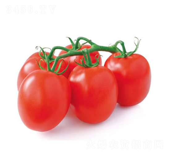 ŵ-ʥŮN-clʢ