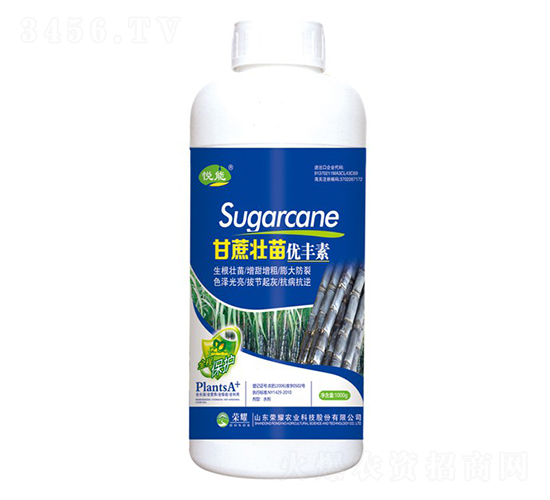 烞Sأƿ--sҫrI