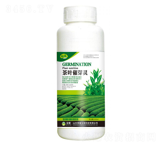~ѿ`500g--sҫrI