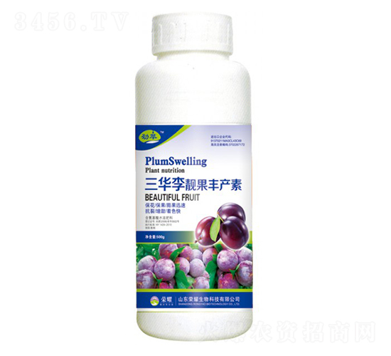 AnSaأ500g--sҫrI
