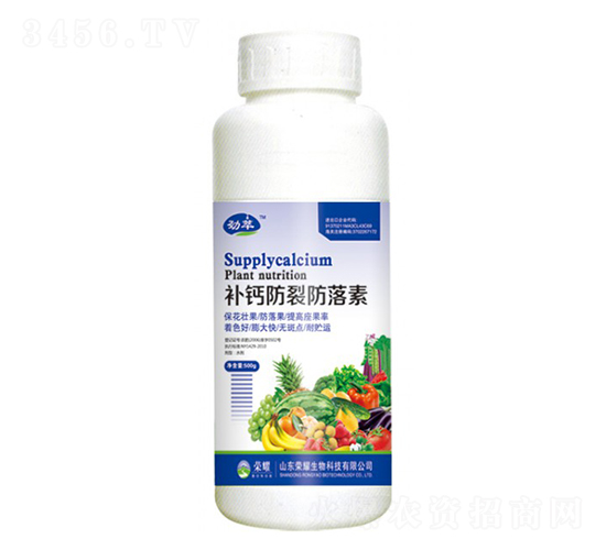 a}ѷأ500g--sҫrI