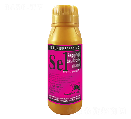 500g}P1̖-r