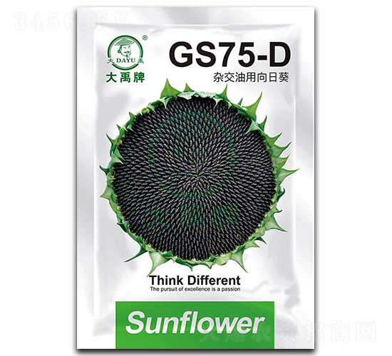 GS75-D-ͿN-NI