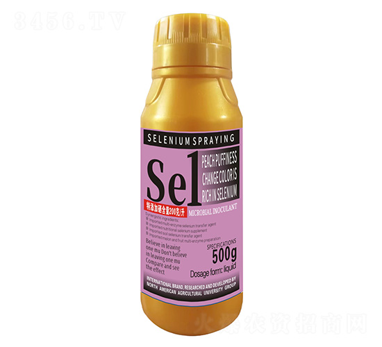 500Dɫ1̖-r