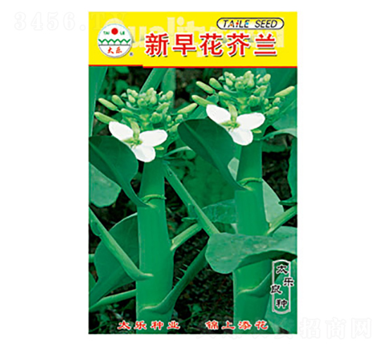 mN-绨m-̫NI