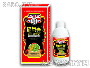 施萊登-（玉米）