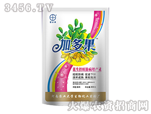 花生控旺一遍藥-加多果 