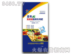 黃腐酸膨果專用肥-嘉有