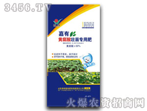 黃腐酸壯苗專用肥-嘉有