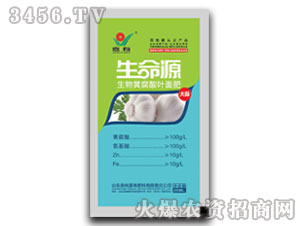 大蒜黃腐酸葉面肥-生命源-嘉有