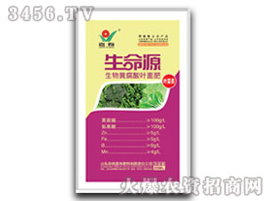 葉菜類黃腐酸葉面肥-生命源-嘉有