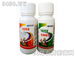 x(chng)+(zhun)-wʭ(zhun)-Z