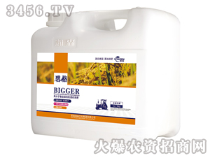 水稻專用高分子復合肽有機蛋白液肥（壺裝）-碧格-瀚森