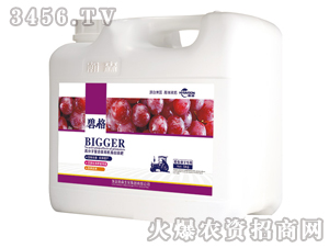 葡萄提子專用高分子復合肽有機蛋白液肥（壺裝）-碧格-瀚森
