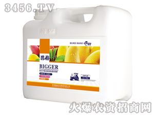 芒果專用高分子復合肽有機蛋白液肥（壺裝）-碧格-瀚森