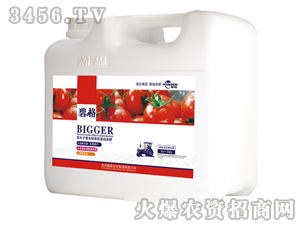 番茄圣女果專用高分子復合肽有機蛋白液肥（壺裝）-碧格-瀚森