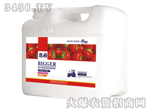 草莓藍莓專用高分子復合肽有機蛋白液肥（壺裝）-碧格-瀚森