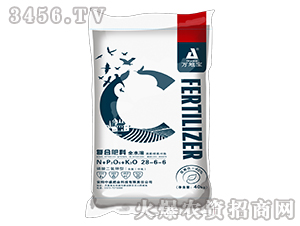 40kg͸ͺϷ28-6-6-f،-ʢʘI