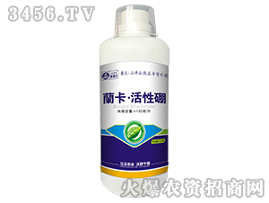 1000g-mrI