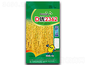 D2362-ˮsN-A߿