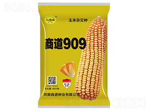 ̵909sN-С-̵NI