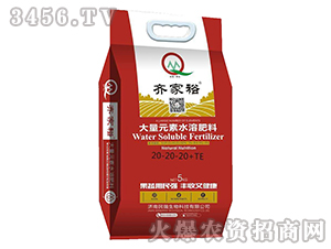 Ԫˮܷ20-20-20+TE-Rԣ-(qing)