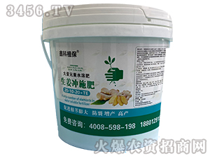 生姜沖施肥20-10-20+TE-鑫科植保
