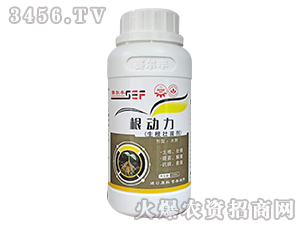 生根壯苗劑-根動力-賽爾豐