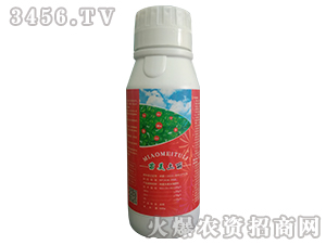 苗美土麗-美聯(lián)肥業(yè)